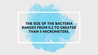 Microbial Range pdf_20230529_093336_0000.pdf
