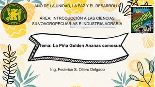 Tema: La Piña Golden Ananas comosus
AÑO DE LA UNIDAD, LA PAZ Y EL DESARROLLO
Ing. Federico S. Ollero Delgado
ÁREA: INTRODUCCIÓN A LAS CIENCIAS
SILVOAGROPECUARIAS E INDUSTRIA AGRARIA
 