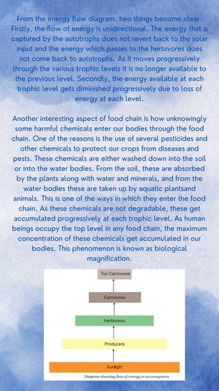 From the energy flow diagram. two things become clear.
Firstly, the flow of energy is unidirectional. The energy that is
captured by the autotrophs does not revert back to the solar
input and the energy which passes to the herbivores does
not come back to autotrophs. As it moves progressively
through the various trophic levels it is no longer available to
the previous level. Secondly, the energy available at each
trophic level gets diminished progressively due to loss of
energy at each level.
Another interesting aspect of food chain is how unknowingly
some harmful chemicals enter our bodies through the food
chain. One of the reasons is the use of several pesticides and
other chemicals to protect our crops from diseases and
pests. These chemicals are either washed down into the soil
or into the water bodies. From the soil, these are absorbed
by the plants along with water and minerals, and from the
water bodies these are taken up by aquatic plantsand
animals. This is one of the ways in which they enter the food
chain. As these chemicals are not degradable, these get
accumulated progressively at each trophic level. As human
beings occupy the top level in any food chain, the maximum
concentration of these chemicals get accumulated in our
bodies. This phenomenon is known as biological
magnification.
 
