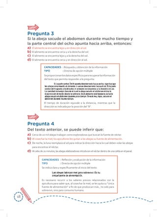1818
Pregunta 4
Del texto anterior, se puede inferir que:
a) Cerca de 20 mil abejas trabajan como exploradoras que buscan la fuente de néctar.
b) Al cosechar la miel, los apicultores les quitan a las abejas su fuente de alimentación.
c) De noche, la luna reemplaza al sol para indicar la dirección hacia la cual deben volar las abejas
para encontrar el néctar.
d) Alcabode20minutos,lasabejaselaboradorasintroducenelnéctardentrodeunaceldaenelpanal.
CAPACIDADES : Reflexión y evaluación de la información
TIPO : Directa de opción múltiple
Se indica clara y específicamente al inicio del texto:
Es necesario recurrir a los saberes previos relacionados con la
apicultura para saber que, al cosechar la miel, se les quita su “única
fuente de alimentación” a fin de que produzcan más , no solo para
sobrevivir, sino para consumo humano.
Pregunta 3
Si la abeja sacude el abdomen durante mucho tiempo y
la parte central del ocho apunta hacia arriba, entonces:
a) El alimento se encuentra lejos y en dirección al sol.
b) El alimento se encuentra cerca y a la derecha del sol.
c) El alimento se encuentra lejos y a la derecha del sol.
d) El alimento se encuentra cerca y en dirección al sol.
CAPACIDADES : Búsqueda y obtención de la información
TIPO : Directa de opción múltiple
Seproporcionanlosdatosespecíficospararecuperarlainformación
del texto que permita responder a la pregunta:
El tiempo de duración equivale a la distancia, mientras que la
dirección es indicada por la posición del “8”.
 