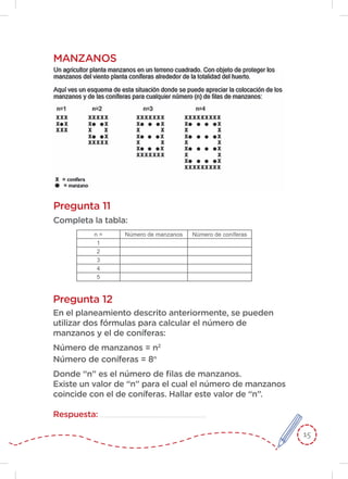 15
Pregunta 11
Pregunta 12
Completa la tabla:
n = Número de manzanos Número de coníferas
1
2
3
4
5
En el planeamiento descrito anteriormente, se pueden
utilizar dos fórmulas para calcular el número de
manzanos y el de coníferas:
Número de manzanos = n2
Número de coníferas = 8n
Donde “n” es el número de filas de manzanos.
Existe un valor de “n” para el cual el número de manzanos
coincide con el de coníferas. Hallar este valor de “n”.
Respuesta:
MANZANOS
 