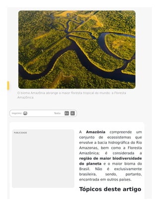 O bioma Amazônia abrange a maior floresta tropical do mundo: a Floresta
Amazônica.
Imprimir Texto: A+ A-
A Amazônia compreende um
conjunto de ecossistemas que
envolve a bacia hidrográfica do Rio
Amazonas, bem como a Floresta
Amazônica; é considerada a
região de maior biodiversidade
do planeta e o maior bioma do
Brasil. Não é exclusivamente
brasileira, sendo, portanto,
encontrada em outros países.
Tópicos deste artigo
PUBLICIDADE
 