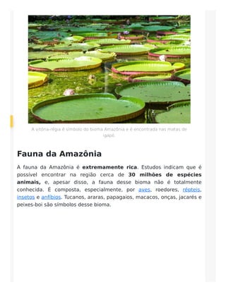 A vitória-régia é símbolo do bioma Amazônia e é encontrada nas matas de
igapó.
Fauna da Amazônia
A fauna da Amazônia é extremamente rica. Estudos indicam que é
possível encontrar na região cerca de 30 milhões de espécies
animais, e, apesar disso, a fauna desse bioma não é totalmente
conhecida. É composta, especialmente, por aves, roedores, répteis,
insetos e anfíbios. Tucanos, araras, papagaios, macacos, onças, jacarés e
peixes-boi são símbolos desse bioma.
 