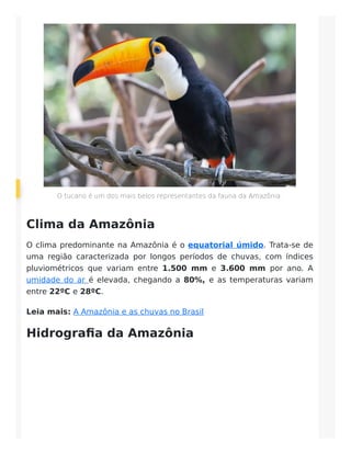 O tucano é um dos mais belos representantes da fauna da Amazônia.
Clima da Amazônia
O clima predominante na Amazônia é o equatorial úmido. Trata-se de
uma região caracterizada por longos períodos de chuvas, com índices
pluviométricos que variam entre 1.500 mm e 3.600 mm por ano. A
umidade do ar é elevada, chegando a 80%, e as temperaturas variam
entre 22ºC e 28ºC.
Leia mais: A Amazônia e as chuvas no Brasil
Hidrografia da Amazônia
 