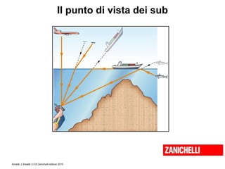 Amaldi, L’Amaldi 2.0 © Zanichelli editore 2010
Il punto di vista dei sub
 