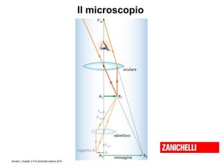 Amaldi, L’Amaldi 2.0 © Zanichelli editore 2010
Il microscopio
 
