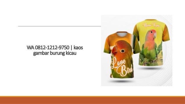 Wa 0812 1212 9750 Kaos Gambar Burung Kicau