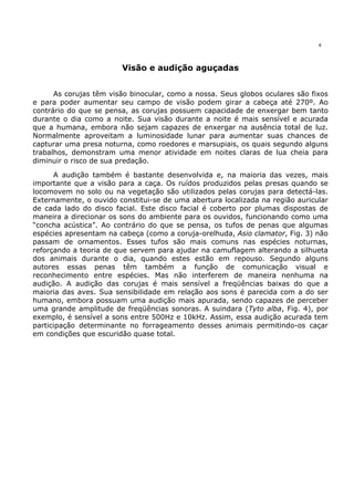 4




                        Visão e audição aguçadas


      As corujas têm visão binocular, como a nossa. Seus globos oculares são fixos
e para poder aumentar seu campo de visão podem girar a cabeça até 270º. Ao
contrário do que se pensa, as corujas possuem capacidade de enxergar bem tanto
durante o dia como a noite. Sua visão durante a noite é mais sensível e acurada
que a humana, embora não sejam capazes de enxergar na ausência total de luz.
Normalmente aproveitam a luminosidade lunar para aumentar suas chances de
capturar uma presa noturna, como roedores e marsupiais, os quais segundo alguns
trabalhos, demonstram uma menor atividade em noites claras de lua cheia para
diminuir o risco de sua predação.

      A audição também é bastante desenvolvida e, na maioria das vezes, mais
importante que a visão para a caça. Os ruídos produzidos pelas presas quando se
locomovem no solo ou na vegetação são utilizados pelas corujas para detectá-las.
Externamente, o ouvido constitui-se de uma abertura localizada na região auricular
de cada lado do disco facial. Este disco facial é coberto por plumas dispostas de
maneira a direcionar os sons do ambiente para os ouvidos, funcionando como uma
“concha acústica”. Ao contrário do que se pensa, os tufos de penas que algumas
espécies apresentam na cabeça (como a coruja-orelhuda, Asio clamator, Fig. 3) não
passam de ornamentos. Esses tufos são mais comuns nas espécies noturnas,
reforçando a teoria de que servem para ajudar na camuflagem alterando a silhueta
dos animais durante o dia, quando estes estão em repouso. Segundo alguns
autores essas penas têm também a função de comunicação visual e
reconhecimento entre espécies. Mas não interferem de maneira nenhuma na
audição. A audição das corujas é mais sensível a freqüências baixas do que a
maioria das aves. Sua sensibilidade em relação aos sons é parecida com a do ser
humano, embora possuam uma audição mais apurada, sendo capazes de perceber
uma grande amplitude de freqüências sonoras. A suindara (Tyto alba, Fig. 4), por
exemplo, é sensível a sons entre 500Hz e 10kHz. Assim, essa audição acurada tem
participação determinante no forrageamento desses animais permitindo-os caçar
em condições que escuridão quase total.
 