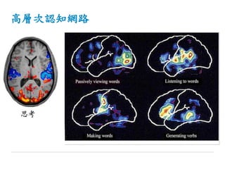 高層次認知網路
思考
 