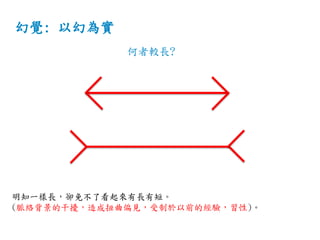 幻覺: 以幻為實
明知一樣長，卻免不了看起來有長有短。
(脈絡背景的干擾，造成扭曲偏見，受制於以前的經驗，習性)。
何者較長?
 