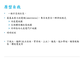 原型自我
• 一種非意識狀態，
• 最基本層次的覺識(awareness)，集合及整合一群神經模式
 內感覺地圖
 生物體結構狀態地圖
 外部指向之感覺門戶地圖
• 時時刻刻
• 下視丘，腦幹(孤立徑核，臂旁核，上丘)，腦島，後扣帶迴，額葉眼動
區，體感覺皮質
 