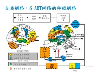 自我網路，S-ART網路的神經網路
導向/
選擇性
注意力
執行
監控
警覺/
續注意力
親社會
系統
內感
整合額頂葉控制系統
有任務(+)網路
無任務(+)網路
經驗現象自我網路
經驗促現自我網路
敘述自我網路 交感
調變
情意
評估
&
滅
 