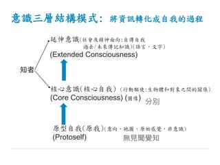 意識三層結構模式: 將資訊轉化成自我的過程
延伸意識(社會及精神面向:自傳自我
過去/未來傳記知識)(語言，文字)
(Extended Consciousness)
原型自我(原我)(意向，地圖，原始感覺，非意識)
(Protoself)
核心意識(核心自我) (行動驅使:生物體和對象之間的關係)
(Core Consciousness) (圖像)
知者
無見聞覺知
分別
 