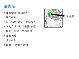 前額葉
• 自我覺查(後設認知)
• 執行控制
• 工作記憶(語言，非語言)
• 注意力 & 專注(干擾控制)
• 計畫，決定，問題解決
• 自我調鍐
• 多工控制
• 抑制 - 衝動，情緒
前額葉
 