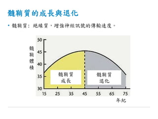 髓鞘質的成長與退化
• 髓鞘質: 絕緣質，增強神經訊號的傳輸速度。
年紀
髓
鞘
體
積
髓鞘質
成長
髓鞘質
退化
 