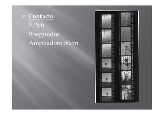 Contacto:
F/5.6
9 segundos
Ampliadora 50cm
 