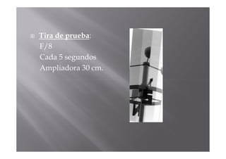 Tira de prueba:
F/8
Cada 5 segundos
Ampliadora 30 cm.
 