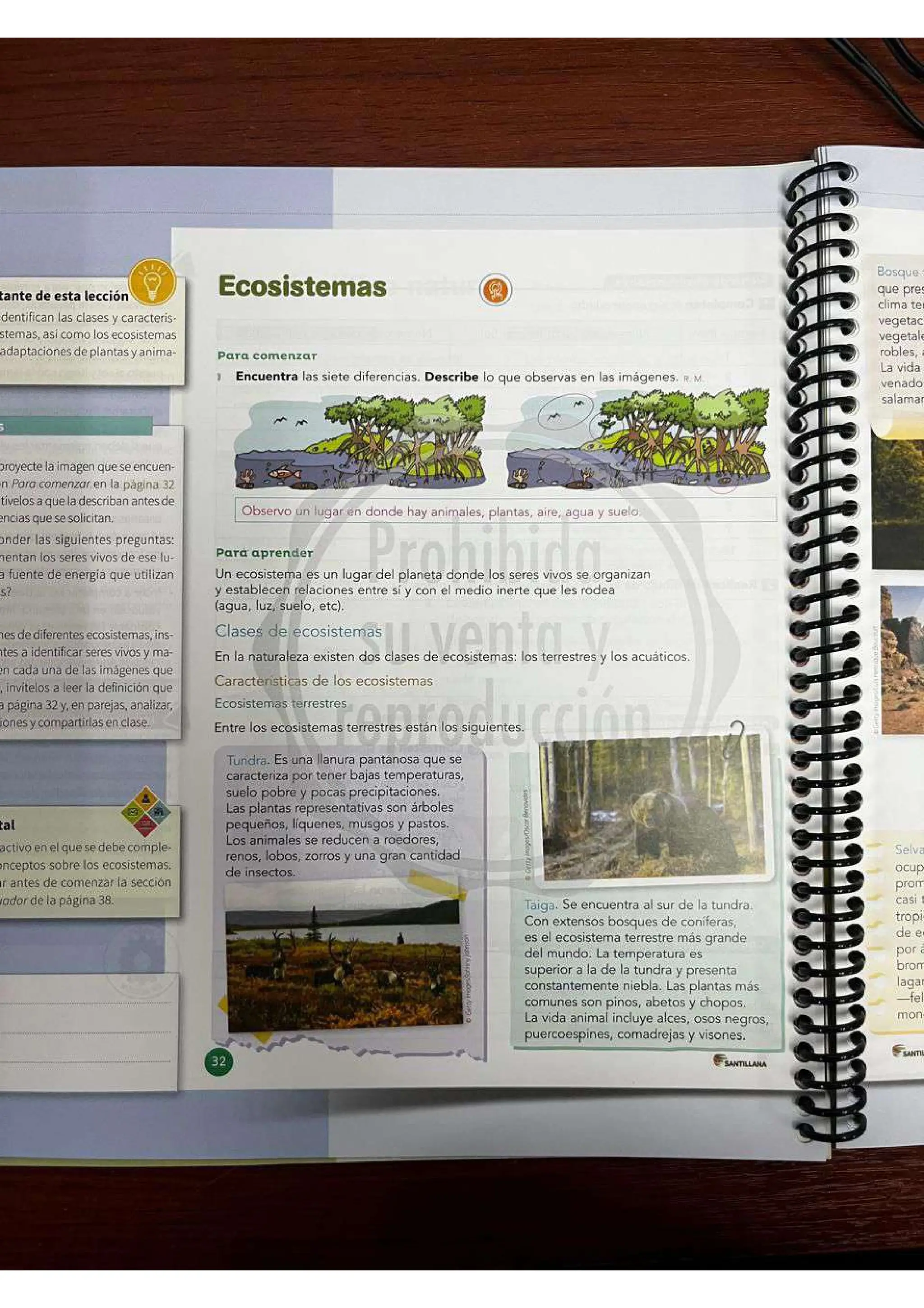 CLASE TUTORÍA 1 - SEMANA 1 - LOS ECOSISTEMAS TERRESTRES Y ACUÁTICOS | PDF
