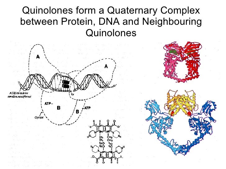 Chloroquine use and fluoroquinolone resistance dissertation