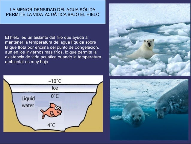 Pdf auga y sales minerales