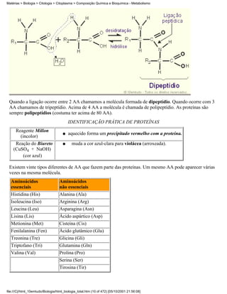 Matérias > Biologia > Citologia > Citoplasma > Composição Química e Bioquímica - Metabolismo




 Quando a ligação ocorre entre 2 AA chamamos a molécula formada de dipeptídio. Quando ocorre com 3
 AA chamamos de tripeptídio. Acima de 4 AA a molécula é chamada de polipeptídio. As proteínas são
 sempre polipeptídios (costuma ter acima de 80 AA).
                                          IDENTIFICAÇÃO PRÁTICA DE PROTEÍNAS
     Reagente Millon
                                      q   aquecido forma um precipitado vermelho com a proteína.
       (incolor)
     Reação do Biureto                q     muda a cor azul-clara para violácea (arroxeada).
    (CuSO4 + NaOH)
         (cor azul)

 Existem vinte tipos diferentes de AA que fazem parte das proteínas. Um mesmo AA pode aparecer várias
 vezes na mesma molécula.
  Aminoácidos                      Aminoácidos
  essenciais                       não essenciais
  Histidina (His)                  Alanina (Ala)
  Isoleucina (Iso)                 Arginina (Arg)
  Leucina (Leu)                    Asparagina (Asn)
  Lisina (Lis)                     Ácido aspártico (Asp)
  Metionina (Met)                  Cisteína (Cis)
  Fenilalanina (Fen)               Ácido glutâmico (Glu)
  Treonina (Tre)                   Glicina (Gli)
  Triptofano (Tri)                 Glutamina (Gln)
  Valina (Val)                     Prolina (Pro)
                                   Serina (Ser)
                                   Tirosina (Tir)



file:///C|/html_10emtudo/Biologia/html_biologia_total.htm (10 of 472) [05/10/2001 21:56:08]
 