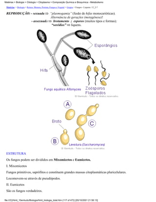 Matérias > Biologia > Citologia > Citoplasma > Composição Química e Bioquímica - Metabolismo

 Matérias > Biologia > Reinos: Monera, Protista, Fungos e Vegetal > Grupos > Fungos - Liquens: 15_2-7

 REPRODUÇÃO: - sexuada                  “plasmogamia” (fusão de hifas monocarióticas).
                                        Alternância de gerações (metagênese)!
                            - assexuada   brotamento ; esporos (muitos tipos e formas);
                                         “sorédios” liquens.




 ESTRUTURA
 Os fungos podem ser divididos em Mixomicetos e Eumicetos.
 I. Mixomicetos
 Fungos primitivos, saprófitos e constituem grandes massas citoplasmáticas pluricelulares.
 Locomovem-se através de pseudópodos.
 II. Eumicetos
 São os fungos verdadeiros.

file:///C|/html_10emtudo/Biologia/html_biologia_total.htm (117 of 472) [05/10/2001 21:56:13]
 