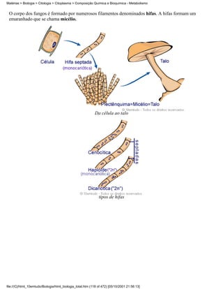 Matérias > Biologia > Citologia > Citoplasma > Composição Química e Bioquímica - Metabolismo


 O corpo dos fungos é formado por numerosos filamentos denominados hifas. A hifas formam um
 emaranhado que se chama micélio.




                                                            Da célula ao talo




                                                               tipos de hifas




file:///C|/html_10emtudo/Biologia/html_biologia_total.htm (118 of 472) [05/10/2001 21:56:13]
 