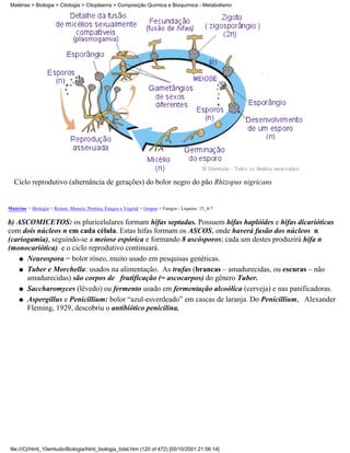 Matérias > Biologia > Citologia > Citoplasma > Composição Química e Bioquímica - Metabolismo




   Ciclo reprodutivo (alternância de gerações) do bolor negro do pão Rhizopus nigricans


Matérias > Biologia > Reinos: Monera, Protista, Fungos e Vegetal > Grupos > Fungos - Liquens: 15_4-7

b) ASCOMICETOS: os pluricelulares formam hifas septadas. Possuem hifas haplóides e hifas dicarióticas
com dois núcleos n em cada célula. Estas hifas formam os ASCOS, onde haverá fusão dos núcleos n
(cariogamia), seguindo-se a meiose espórica e formando 8 ascósporos; cada um destes produzirá hifa n
(monocariótica) e o ciclo reprodutivo continuará.
    q Neurospora = bolor róseo, muito usado em pesquisas genéticas.

    q Tuber e Morchella: usados na alimentação. As trufas (brancas – amadurecidas, ou escuras – não
      amadurecidas) são corpos de frutificação (= ascocarpos) do gênero Tuber.
    q Saccharomyces (lêvedo) ou fermento usado em fermentação alcoólica (cerveja) e nas panificadoras.

    q Aspergillus e Penicillium: bolor “azul-esverdeado” em cascas de laranja. Do Penicillium, Alexander
      Fleming, 1929, descobriu o antibiótico penicilina.




 file:///C|/html_10emtudo/Biologia/html_biologia_total.htm (120 of 472) [05/10/2001 21:56:14]
 