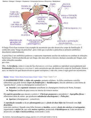 Matérias > Biologia > Citologia > Citoplasma > Composição Química e Bioquímica - Metabolismo




O fungo Penicilium notatum é um exemplo de ascomiceto que não desenvolve corpo de frutificação. É
conhecido como "fungo da penicilina", pois é dele que se produz a penicilina (o primeiro antibiótico
descoberto) industrialmente.
A penicilina é um antibiótico poderoso e representa importante auxiliar da medicina no combate às infecções
bacterianas. Embora produzida por um fungo, não atua sobre as micoses, doenças causadas por fungos, nem
sobre infecções causadas
por vírus.
Obs.: As leveduras, como é o caso de Saccharomyces cerevisae, podem-se reproduzir assexuadamente por
brotamento.Saccharomyces cerevisae é outro ascomiceto que não desenvolve corpo de frutificação; forma o
asco, no interior do qual desenvolvem-se quatro ascósporos, e não oito, como é regra geral nos ascomicetos.


  Matérias > Biologia > Reinos: Monera, Protista, Fungos e Vegetal > Grupos > Fungos - Liquens: 15_5-7

  C) BASIDIOMICETOS: as hifas são septadas, portanto celulares. As hifas constituem o micélio
  subterrâneo que pode formar corpos de frutificação (= basidiocarpos), fora do substrato e com forma de
  “guarda-chuva”, como os champignons (comestíveis !).
     q Amanita é um cogumelo venenoso semelhante ao champignon (América do Norte, Europa).

     q Polyporus (orelha-de-pau) cresce no interior de troncos mortos.

  Há espécies parasitas que atacam o centeio (= Claviceps purpurea),o amendoim (= Aspergillus flavus =
  aflatoxinas) além de outras que produzem substâncias alucinógenas (= Psilocybe).
      q Agaricus (champignons) – comestíveis.

  A reprodução sexuada se dá por plasmogamia que é a fusão de duas hifas (n) formando uma hifa
  dicariótica
  (com dois núcleos). Quando estas hifas formam os basídios, ocorre a fusão dos núcleos n (cariogamia),
  organizando o núcleo 2n, que sofre meiose espórica, produzindo 4 basidiósporos n. Cada um destes se
  desenvolve em hifa n (monocariótica), reiniciando o ciclo.

file:///C|/html_10emtudo/Biologia/html_biologia_total.htm (121 of 472) [05/10/2001 21:56:14]
 