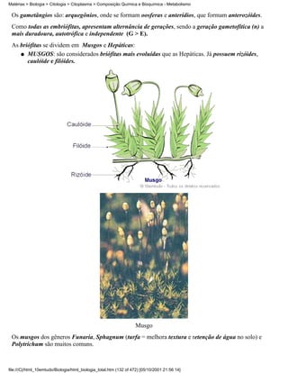 Matérias > Biologia > Citologia > Citoplasma > Composição Química e Bioquímica - Metabolismo

 Os gametângios são: arquegônios, onde se formam oosferas e anterídios, que formam anterozóides.
 Como todas as embriófitas, apresentam alternância de gerações, sendo a geração gametofítica (n) a
 mais duradoura, autotrófica e independente (G > E).
 As briófitas se dividem em Musgos e Hepáticas:
    q MUSGOS: são considerados briófitas mais evoluídas que as Hepáticas. Já possuem rizóides,
       caulóide e filóides.




                                                                   Musgo
 Os musgos dos gêneros Funaria, Sphagnum (turfa = melhora textura e retenção de água no solo) e
 Polytrichum são muitos comuns.



file:///C|/html_10emtudo/Biologia/html_biologia_total.htm (132 of 472) [05/10/2001 21:56:14]
 