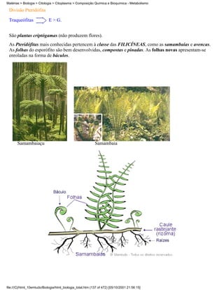 Matérias > Biologia > Citologia > Citoplasma > Composição Química e Bioquímica - Metabolismo

 Divisão Pteridófita

 Traqueófitas                E > G.


 São plantas criptógamas (não produzem flores).
 As Pteridófitas mais conhecidas pertencem à classe das FILICÍNEAS, como as samambaias e avencas.
 As folhas do esporófito são bem desenvolvidas, compostas e pinadas. As folhas novas apresentam-se
 enroladas na forma de báculos.




       Samambaiaçu                                          Samambaia




file:///C|/html_10emtudo/Biologia/html_biologia_total.htm (137 of 472) [05/10/2001 21:56:15]
 