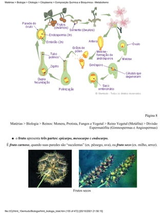 Matérias > Biologia > Citologia > Citoplasma > Composição Química e Bioquímica - Metabolismo




                                                                                                   Página 8

     Matérias > Biologia > Reinos: Monera, Protista, Fungos e Vegetal > Reino Vegetal (Metáfita) > Divisão
                                                           Espermatófita (Gimnospermas e Angiospermas)

      q   o fruto apresenta três partes: epicarpo, mesocarpo e endocarpo.
 É fruto carnoso, quando suas paredes são “suculentas” (ex. pêssego, uva), ou fruto seco (ex. milho, arroz).




                                                                Frutos secos




file:///C|/html_10emtudo/Biologia/html_biologia_total.htm (155 of 472) [05/10/2001 21:56:15]
 