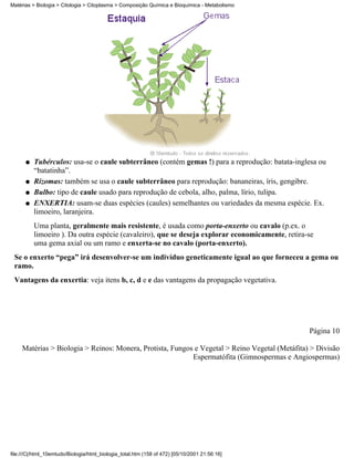 Matérias > Biologia > Citologia > Citoplasma > Composição Química e Bioquímica - Metabolismo




      q   Tubérculos: usa-se o caule subterrâneo (contém gemas !) para a reprodução: batata-inglesa ou
          “batatinha”.
      q   Rizomas: também se usa o caule subterrâneo para reprodução: bananeiras, íris, gengibre.
      q   Bulbo: tipo de caule usado para reprodução de cebola, alho, palma, lírio, tulipa.
      q   ENXERTIA: usam-se duas espécies (caules) semelhantes ou variedades da mesma espécie. Ex.
          limoeiro, laranjeira.
          Uma planta, geralmente mais resistente, é usada como porta-enxerto ou cavalo (p.ex. o
          limoeiro ). Da outra espécie (cavaleiro), que se deseja explorar economicamente, retira-se
          uma gema axial ou um ramo e enxerta-se no cavalo (porta-enxerto).
 Se o enxerto “pega” irá desenvolver-se um indivíduo geneticamente igual ao que forneceu a gema ou
 ramo.
 Vantagens da enxertia: veja itens b, c, d e e das vantagens da propagação vegetativa.




                                                                                                  Página 10

     Matérias > Biologia > Reinos: Monera, Protista, Fungos e Vegetal > Reino Vegetal (Metáfita) > Divisão
                                                           Espermatófita (Gimnospermas e Angiospermas)




file:///C|/html_10emtudo/Biologia/html_biologia_total.htm (158 of 472) [05/10/2001 21:56:16]
 
