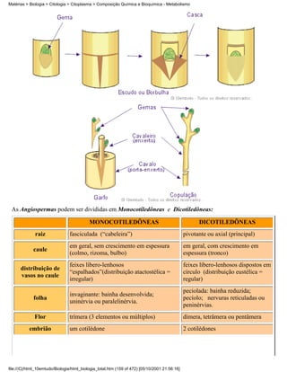 Matérias > Biologia > Citologia > Citoplasma > Composição Química e Bioquímica - Metabolismo




 As Angiospermas podem ser divididas em Monocotiledôneas e Dicotiledôneas:

                                           MONOCOTILEDÔNEAS                                          DICOTILEDÔNEAS
              raiz              fasciculada (“cabeleira”)                                      pivotante ou axial (principal)
                                em geral, sem crescimento em espessura                         em geral, com crescimento em
             caule
                                (colmo, rizoma, bulbo)                                         espessura (tronco)
                                feixes líbero-lenhosos                                         feixes líbero-lenhosos dispostos em
      distribuição de
                                “espalhados”(distribuição atactostélica =                      círculo (distribuição eustélica =
      vasos no caule
                                irregular)                                                     regular)
                                                                                               peciolada: bainha reduzida;
                                invaginante: bainha desenvolvida;
             folha                                                                             pecíolo; nervuras reticuladas ou
                                uninérvia ou paralelinérvia.
                                                                                               peninérvias.
              Flor              trímera (3 elementos ou múltiplos)                             dímera, tetrâmera ou pentâmera
           embrião              um cotilédone                                                  2 cotilédones




file:///C|/html_10emtudo/Biologia/html_biologia_total.htm (159 of 472) [05/10/2001 21:56:16]
 