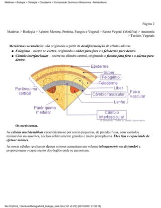 Matérias > Biologia > Citologia > Citoplasma > Composição Química e Bioquímica - Metabolismo




                                                                                                 Página 2

  Matérias > Biologia > Reinos: Monera, Protista, Fungos e Vegetal > Reino Vegetal (Metáfita) > Anatomia
                                                                                     > Tecidos Vegetais


    Meristemas secundários: são originados a partir da desdiferenciação de células adultas.
     q Felogênio – ocorre no córtex, originando o súber para fora e a feloderme para dentro.

     q Câmbio interfascicular – ocorre no cilindro central, originando o floema para fora e o xilema para
       dentro.




          Os meristemas.
 As células meristemáticas caracterizam-se por serem pequenas, de paredes finas, com vacúolos
 minúsculos ou ausentes, núcleos relativamente grandes e muito protoplasma. Elas têm a capacidade de
 efetuar mitoses.
 As novas células resultantes dessas mitoses aumentam em volume (elongamento ou distensão) e
 proporcionam o crescimento dos órgãos onde se encontram.




file:///C|/html_10emtudo/Biologia/html_biologia_total.htm (161 of 472) [05/10/2001 21:56:16]
 