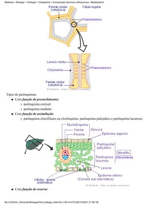 Matérias > Biologia > Citologia > Citoplasma > Composição Química e Bioquímica - Metabolismo




 Tipos de parênquimas.
    q Com função de preenchimento:

           r parênquima cortical.

           r parênquima medular.

    q Com função de assimilação:

           r parênquima clorofiliano ou clorênquima: parênquima paliçádico e parênquima lacunoso.




      q   Com função de reserva:


file:///C|/html_10emtudo/Biologia/html_biologia_total.htm (165 of 472) [05/10/2001 21:56:16]
 
