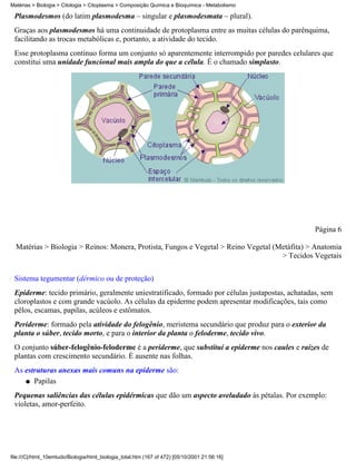 Matérias > Biologia > Citologia > Citoplasma > Composição Química e Bioquímica - Metabolismo

 Plasmodesmos (do latim plasmodesma – singular e plasmodesmata – plural).
 Graças aos plasmodesmos há uma continuidade de protoplasma entre as muitas células do parênquima,
 facilitando as trocas metabólicas e, portanto, a atividade do tecido.
 Esse protoplasma contínuo forma um conjunto só aparentemente interrompido por paredes celulares que
 constitui uma unidade funcional mais ampla do que a célula. É o chamado simplasto.




                                                                                                  Página 6

  Matérias > Biologia > Reinos: Monera, Protista, Fungos e Vegetal > Reino Vegetal (Metáfita) > Anatomia
                                                                                     > Tecidos Vegetais


 Sistema tegumentar (dérmico ou de proteção)
 Epiderme: tecido primário, geralmente uniestratificado, formado por células justapostas, achatadas, sem
 cloroplastos e com grande vacúolo. As células da epiderme podem apresentar modificações, tais como
 pêlos, escamas, papilas, acúleos e estômatos.
 Periderme: formado pela atividade do felogênio, meristema secundário que produz para o exterior da
 planta o súber, tecido morto, e para o interior da planta o feloderme, tecido vivo.
 O conjunto súber-felogênio-feloderme é a periderme, que substitui a epiderme nos caules e raízes de
 plantas com crescimento secundário. É ausente nas folhas.
 As estruturas anexas mais comuns na epiderme são:
    q Papilas

 Pequenas saliências das células epidérmicas que dão um aspecto aveludado às pétalas. Por exemplo:
 violetas, amor-perfeito.




file:///C|/html_10emtudo/Biologia/html_biologia_total.htm (167 of 472) [05/10/2001 21:56:16]
 
