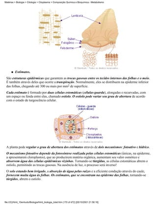 Matérias > Biologia > Citologia > Citoplasma > Composição Química e Bioquímica - Metabolismo




      q   Estômatos.
 São estruturas epidérmicas que garantem as trocas gasosas entre os tecidos internos das folhas e o meio.
 É também através deles que ocorre a transpiração. Normalmente, eles se distribuem na epiderme inferior
 das folhas, chegando até 300 ou mais por mm2 de superfície.
 Cada estômato é formado por duas células estomáticas (células-guarda), alongadas e recurvadas, com
 um espaço ou fenda entre elas, chamado ostíolo. O ostíolo pode variar seu grau de abertura de acordo
 com o estado de turgescência celular.




 A planta pode regular o grau de abertura dos estômatos através de dois mecanismos: fotoativo e hídrico.
 O mecanismo fotoativo depende da fotossíntese realizada pelas células estomáticas (únicas, na epiderme,
 a apresentarem cloroplastos), que ao produzirem matéria orgânica, aumentam seu valor osmótico e
 absorvem água das células epidérmicas vizinhas. Tornando-se túrgidas, as células estomáticas abrem o
 ostíolo, permitindo as trocas gasosas. Na ausência de luz, o processo será inverso!
 O solo estando bem irrigado, a absorção de água pelas raízes e a eficiente condução através do caule,
 fornecem muita água às folhas. Os estômatos, que se encontram na epiderme das folhas, tornando-se
 túrgidos, abrem o ostíolo.




file:///C|/html_10emtudo/Biologia/html_biologia_total.htm (170 of 472) [05/10/2001 21:56:16]
 