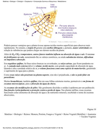 Matérias > Biologia > Citologia > Citoplasma > Composição Química e Bioquímica - Metabolismo




 Poderia parecer vantajoso que a planta tivesse apenas tecidos mortos superficiais para absorver mais
 rapidamente. No entanto, o trajeto B garante uma melhor filtragem e, portanto, maior seletividade em
 relação às substâncias que podem chegar aos demais tecidos da planta.
 Além de O2, CO2 e temperatura, outros fatores também influem na absorção de água e sais. O excesso
 de fertilizantes no solo, aumentando-lhe os valores osmóticos, ou ainda substâncias tóxicas, dificultam
 ou impedem a absorção.
 Em orquídeas epífitas, há finas raízes brancas ou esverdeadas, as raízes aéreas, que ficam pendentes no
 ar. A camada mais externa dela é o velame, tecido morto, com grande capacidade de absorção de água.
 Quando é alta a umidade relativa do ar, o velame funciona como uma espécie de mata-borrão, garantindo
 o suprimento de água para a planta.
 Como essas raízes não penetram na planta-suporte, esta não é prejudicada, e não se pode falar em
 parasitismo.
 Muitas bromeliáceas, também epífitas, têm em suas folhas estruturas mortas, permeáveis e em forma de
 escamas microscópicas, para a absorção da água da chuva.
 As escamas são modificações de pêlos. São geralmente discóides e unidas à epiderme por um pedúnculo.
 Sua função é principalmente a proteção contra a perda de água. Nas plantas epífitas, essas escamas
 funcionam como elementos de absorção de água e de nutrientes minerais, recebendo o nome de escamas
 absorventes.




                                                                                                Página 10

  Matérias > Biologia > Reinos: Monera, Protista, Fungos e Vegetal > Reino Vegetal (Metáfita) > Anatomia
                                                                                     > Tecidos Vegetais




file:///C|/html_10emtudo/Biologia/html_biologia_total.htm (172 of 472) [05/10/2001 21:56:16]
 