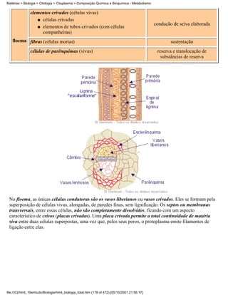 Matérias > Biologia > Citologia > Citoplasma > Composição Química e Bioquímica - Metabolismo

               elementos crivados (células vivas)
                  q células crivadas
                                                                                               condução de seiva elaborada
                  q elementos de tubos crivados (com células
                    companheiras)
   floema fibras (células mortas)                                                                      sustentação
               células de parênquimas (vivas)                                                   reserva e translocação de
                                                                                                  substâncias de reserva




 No floema, as únicas células condutoras são os vasos liberianos ou vasos crivados. Eles se formam pela
 superposição de células vivas, alongadas, de paredes finas, sem lignificação. Os septos ou membranas
 transversais, entre essas células, não são completamente dissolvidos, ficando com um aspecto
 característico de crivos (placas crivadas). Uma placa crivada permite a total continuidade de matéria
 viva entre duas células superpostas, uma vez que, pelos seus poros, o protoplasma emite filamentos de
 ligação entre elas.




file:///C|/html_10emtudo/Biologia/html_biologia_total.htm (178 of 472) [05/10/2001 21:56:17]
 