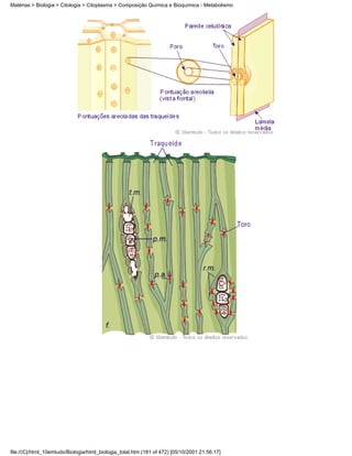 Matérias > Biologia > Citologia > Citoplasma > Composição Química e Bioquímica - Metabolismo




file:///C|/html_10emtudo/Biologia/html_biologia_total.htm (181 of 472) [05/10/2001 21:56:17]
 