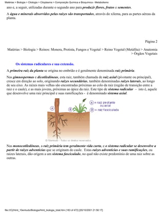 Matérias > Biologia > Citologia > Citoplasma > Composição Química e Bioquímica - Metabolismo

 ano e, a seguir, utilizadas durante o segundo ano para produzir flores, frutos e sementes.
 A água e minerais absorvidos pelas raízes são transportados, através do xilema, para as partes aéreas da
 planta.




                                                                                                     Página 2

  Matérias > Biologia > Reinos: Monera, Protista, Fungos e Vegetal > Reino Vegetal (Metáfita) > Anatomia
                                                                                      > Órgãos Vegetais


          Os sistemas radiculares e sua extensão.
 A primeira raiz da planta se origina no embrião e é geralmente denominada raiz primária.
 Nas gimnospermas e dicotiledôneas, esta raiz, também chamada de raiz axial (pivotante ou principal),
 cresce em direção ao solo, originando raízes secundárias, também denominadas raízes laterais, ao longo
 de seu eixo. As raízes mais velhas são encontradas próximas ao colo da raiz (região de transição entre a
 raiz e o caule), e as mais jovens, próximas ao ápice da raiz. Este tipo de sistema radicular – isto é, aquele
 que desenvolve uma raiz principal e suas ramificações - é denominado sistema axial.




 Nas monocotiledôneas, a raiz primária tem geralmente vida curta, e o sistema radicular se desenvolve a
 partir de raízes adventícias que se originam do caule. Estas raízes adventícias e suas ramificações, ou
 raízes laterais, dão origem a um sistema fasciculado, no qual não existe predomínio de uma raiz sobre as
 outras.




file:///C|/html_10emtudo/Biologia/html_biologia_total.htm (183 of 472) [05/10/2001 21:56:17]
 