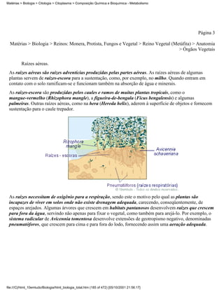 Matérias > Biologia > Citologia > Citoplasma > Composição Química e Bioquímica - Metabolismo




                                                                                                Página 3

  Matérias > Biologia > Reinos: Monera, Protista, Fungos e Vegetal > Reino Vegetal (Metáfita) > Anatomia
                                                                                      > Órgãos Vegetais


          Raízes aéreas.
 As raízes aéreas são raízes adventícias produzidas pelas partes aéreas. As raízes aéreas de algumas
 plantas servem de raízes-escora para a sustentação, como, por exemplo, no milho. Quando entram em
 contato com o solo ramificam-se e funcionam também na absorção de água e minerais.
 As raízes-escora são produzidas pelos caules e ramos de muitas plantas tropicais, como o
 mangue-vermelho (Rhizophora mangle), a figueira-de-bengala (Ficus bengalensis) e algumas
 palmeiras. Outras raízes aéreas, como na hera (Hereda helix), aderem à superfície de objetos e fornecem
 sustentação para o caule trepador.




 As raízes necessitam de oxigênio para a respiração, sendo este o motivo pelo qual as plantas são
 incapazes de viver em solos onde não existe drenagem adequada, carecendo, conseqüentemente, de
 espaços arejados. Algumas árvores que crescem em habitats pantanosos desenvolvem raízes que crescem
 para fora da água, servindo não apenas para fixar o vegetal, como também para arejá-lo. Por exemplo, o
 sistema radicular de Avicennia tomentosa desenvolve extensões de geotropismo negativo, denominadas
 pneumatóforos, que crescem para cima e para fora do lodo, fornecendo assim uma aeração adequada.




file:///C|/html_10emtudo/Biologia/html_biologia_total.htm (185 of 472) [05/10/2001 21:56:17]
 