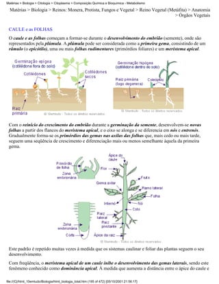 Matérias > Biologia > Citologia > Citoplasma > Composição Química e Bioquímica - Metabolismo

  Matérias > Biologia > Reinos: Monera, Protista, Fungos e Vegetal > Reino Vegetal (Metáfita) > Anatomia
                                                                                      > Órgãos Vegetais


 CAULE e as FOLHAS
 O caule e as folhas começam a formar-se durante o desenvolvimento do embrião (semente), onde são
 representados pela plúmula. A plúmula pode ser considerada como a primeira gema, consistindo de um
 râmulo (o epicótilo), uma ou mais folhas rudimentares (primórdios foliares) e um meristema apical.




 Com o reinício do crescimento do embrião durante a germinação da semente, desenvolvem-se novas
 folhas a partir dos flancos do meristema apical, e o eixo se alonga e se diferencia em nós e entrenós.
 Gradualmente forma-se os primórdios das gemas nas axilas das folhas que, mais cedo ou mais tarde,
 seguem uma seqüência de crescimento e diferenciação mais ou menos semelhante àquela da primeira
 gema.




 Este padrão é repetido muitas vezes à medida que os sistemas caulinar e foliar das plantas seguem o seu
 desenvolvimento.
 Com freqüência, o meristema apical de um caule inibe o desenvolvimento das gemas laterais, sendo este
 fenômeno conhecido como dominância apical. À medida que aumenta a distância entre o ápice do caule e

file:///C|/html_10emtudo/Biologia/html_biologia_total.htm (195 of 472) [05/10/2001 21:56:17]
 