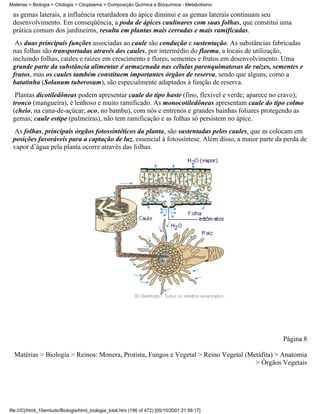 Matérias > Biologia > Citologia > Citoplasma > Composição Química e Bioquímica - Metabolismo

 as gemas laterais, a influência retardadora do ápice diminui e as gemas laterais continuam seu
 desenvolvimento. Em conseqüência, a poda de ápices caulinares com suas folhas, que constitui uma
 prática comum dos jardineiros, resulta em plantas mais cerradas e mais ramificadas.
  As duas principais funções associadas ao caule são condução e sustentação. As substâncias fabricadas
 nas folhas são transportadas através dos caules, por intermédio do floema, a locais de utilização,
 incluindo folhas, caules e raízes em crescimento e flores, sementes e frutos em desenvolvimento. Uma
 grande parte da substância alimentar é armazenada nas células parenquimatosas de raízes, sementes e
 frutos, mas os caules também constituem importantes órgãos de reserva, sendo que alguns, como a
 batatinha (Solanum tuberosum), são especialmente adaptados à função de reserva.
  Plantas dicotiledôneas podem apresentar caule do tipo haste (fino, flexível e verde; aparece no cravo);
 tronco (mangueira), é lenhoso e muito ramificado. As monocotiledôneas apresentam caule do tipo colmo
 (cheio, na cana-de-açúcar; oco, no bambu), com nós e entrenós e grandes bainhas foliares protegendo as
 gemas; caule estipe (palmeiras), não tem ramificação e as folhas só persistem no ápice.
 As folhas, principais órgãos fotossintéticos da planta, são sustentadas pelos caules, que as colocam em
 posições favoráveis para a captação de luz, essencial à fotossíntese. Além disso, a maior parte da perda de
 vapor d’água pela planta ocorre através das folhas.




                                                                                                   Página 8

  Matérias > Biologia > Reinos: Monera, Protista, Fungos e Vegetal > Reino Vegetal (Metáfita) > Anatomia
                                                                                      > Órgãos Vegetais




file:///C|/html_10emtudo/Biologia/html_biologia_total.htm (196 of 472) [05/10/2001 21:56:17]
 