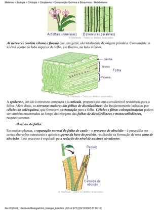 Matérias > Biologia > Citologia > Citoplasma > Composição Química e Bioquímica - Metabolismo




 As nervuras contêm xilema e floema que, em geral, são totalmente de origem primária. Comumente, o
 xilema ocorre no lado superior da folha, e o floema, no lado inferior.




 A epiderme, devido à estrutura compacta e à cutícula, proporciona uma considerável resistência para a
 folha. Além disso, as nervuras maiores das folhas de dicotiledôneas são freqüentemente ladeadas por
 células do colênquima, que fornecem sustentação para a folha. Células e fibras colenquimatosas podem
 ser também encontradas ao longo das margens das folhas de dicotiledôneas e monocotiledôneas,
 respectivamente.
          Abscisão da folha.
 Em muitas plantas, a separação normal da folha do caule – o processo de abscisão – é precedida por
 certas alterações estruturais e químicas perto da base do pecíolo, resultando na formação de uma zona de
 abscisão. Esse processo é regulado pela redução do nível de auxinas circulantes.




file:///C|/html_10emtudo/Biologia/html_biologia_total.htm (205 of 472) [05/10/2001 21:56:18]
 