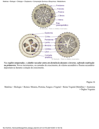 Matérias > Biologia > Citologia > Citoplasma > Composição Química e Bioquímica - Metabolismo




 Nas regiões temperadas, o câmbio vascular entra em dormência durante o inverno, sofrendo reativação
 na primavera. Novos incrementos, ou camadas de crescimento, de xilema secundário e floema secundário
 depositam-se durante a estação de crescimento.




                                                                                               Página 16

  Matérias > Biologia > Reinos: Monera, Protista, Fungos e Vegetal > Reino Vegetal (Metáfita) > Anatomia
                                                                                      > Órgãos Vegetais




file:///C|/html_10emtudo/Biologia/html_biologia_total.htm (213 of 472) [05/10/2001 21:56:18]
 