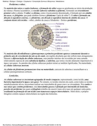Matérias > Biologia > Citologia > Citoplasma > Composição Química e Bioquímica - Metabolismo

          Periderme e súber.
 Na maioria das raízes e caules lenhosos, a formação do súber segue-se geralmente ao início da produção
 de xilema e floema secundários, e o tecido suberoso substitui a epiderme, formando um revestimento
 protetor sobre a planta. O súber ou felema, como é tecnicamente denominado, é formado por um câmbio
 da casca, ou felogênio, que pode também formar a feloderme (“pele de súber”). O súber é formado em
 direção à superfície externa, e a feloderme, em direção à superfície interna do câmbio da casca. O
 conjunto destes três tecidos – súber, câmbio da casca e feloderme – forma a periderme.




 Na maioria das dicotiledôneas e gimnospermas a primeira periderme aparece comumente durante o
 primeiro ano de crescimento da raiz ou do caule, em regiões da planta que não sofrem mais alongamento.
 Durante a diferenciação da células suberosas, suas paredes internas são revestidas por uma camada
 relativamente espessa de uma substância lipídica, a suberina, que torna o tecido altamente impermeável à
 água e aos gases. As paredes das células suberosas podem tornar-se também lignificadas. Na maturidade,
 as células suberosas morrem.
 As células da feloderme permanecem vivas na maturidade, carecem de suberina e assemelham-se a
 células parenquimatosas corticais.
          Lenticelas.
 As células suberosas se encontram agrupadas de modo compacto, representando, como tecido, uma
 barreira impermeável à água e aos gases. No entanto, os tecidos internos do caule, como todos os tecidos
 metabolicamente ativos, necessitam realizar um intercâmbio de gases com o ar circundante. Nos caules e
 nas raízes que contêm peridermes, este intercâmbio gasoso é efetuado por intermédio de lenticelas,
 porções de periderme nas quais o felogênio (câmbio da casca) é mais ativo que em qualquer outra parte,
 resultando na formação de um tecido com numerosos espaços intercelulares. Além disso, o próprio
 felogênio contém espaços intercelulares na região das lenticelas.




file:///C|/html_10emtudo/Biologia/html_biologia_total.htm (214 of 472) [05/10/2001 21:56:18]
 