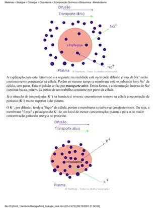 Matérias > Biologia > Citologia > Citoplasma > Composição Química e Bioquímica - Metabolismo




 A explicação para este fenômeno é a seguinte: na realidade está ocorrendo difusão e íons de Na+ estão
 continuamente penetrando na célula. Porém ao mesmo tempo a membrana está expulsando íons Na+ da
 célula, sem parar. Esta expulsão se faz por transporte ativo. Desta forma, a concentração interna de Na+
 continua baixa, porém, às custas de um trabalho constante por parte da célula.
 Já a situação do íon potássio (K+) na hemácia é inversa: encontramos sempre na célula concentração de
 potássio (K+) muito superior à do plasma.
 O K+, por difusão, tende a "fugir" da célula, porém a membrana o reabsorve constantemente. Ou seja, a
 membrana "força" a passagem do K+ de um local de menor concentração (plasma), para o de maior
 concentração gastando energia no processo.




file:///C|/html_10emtudo/Biologia/html_biologia_total.htm (22 of 472) [05/10/2001 21:56:09]
 