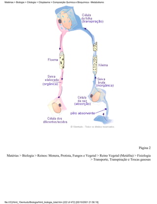 Matérias > Biologia > Citologia > Citoplasma > Composição Química e Bioquímica - Metabolismo




                                                                                                 Página 2

  Matérias > Biologia > Reinos: Monera, Protista, Fungos e Vegetal > Reino Vegetal (Metáfita) > Fisiologia
                                                              > Transporte, Transpiração e Trocas gasosas




file:///C|/html_10emtudo/Biologia/html_biologia_total.htm (222 of 472) [05/10/2001 21:56:19]
 